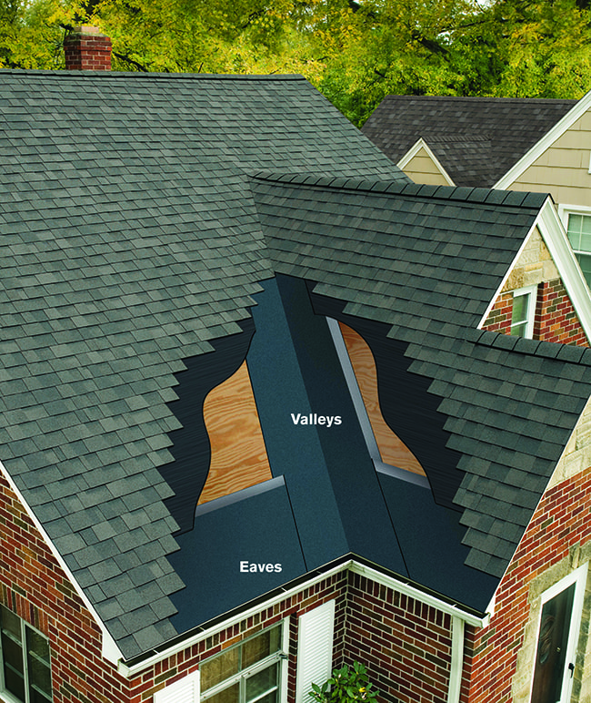 Asphalt shingles on Frederick home