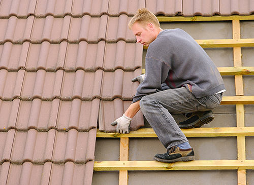 Roof Repair, and Asphalt Shingles in Greeley, CO