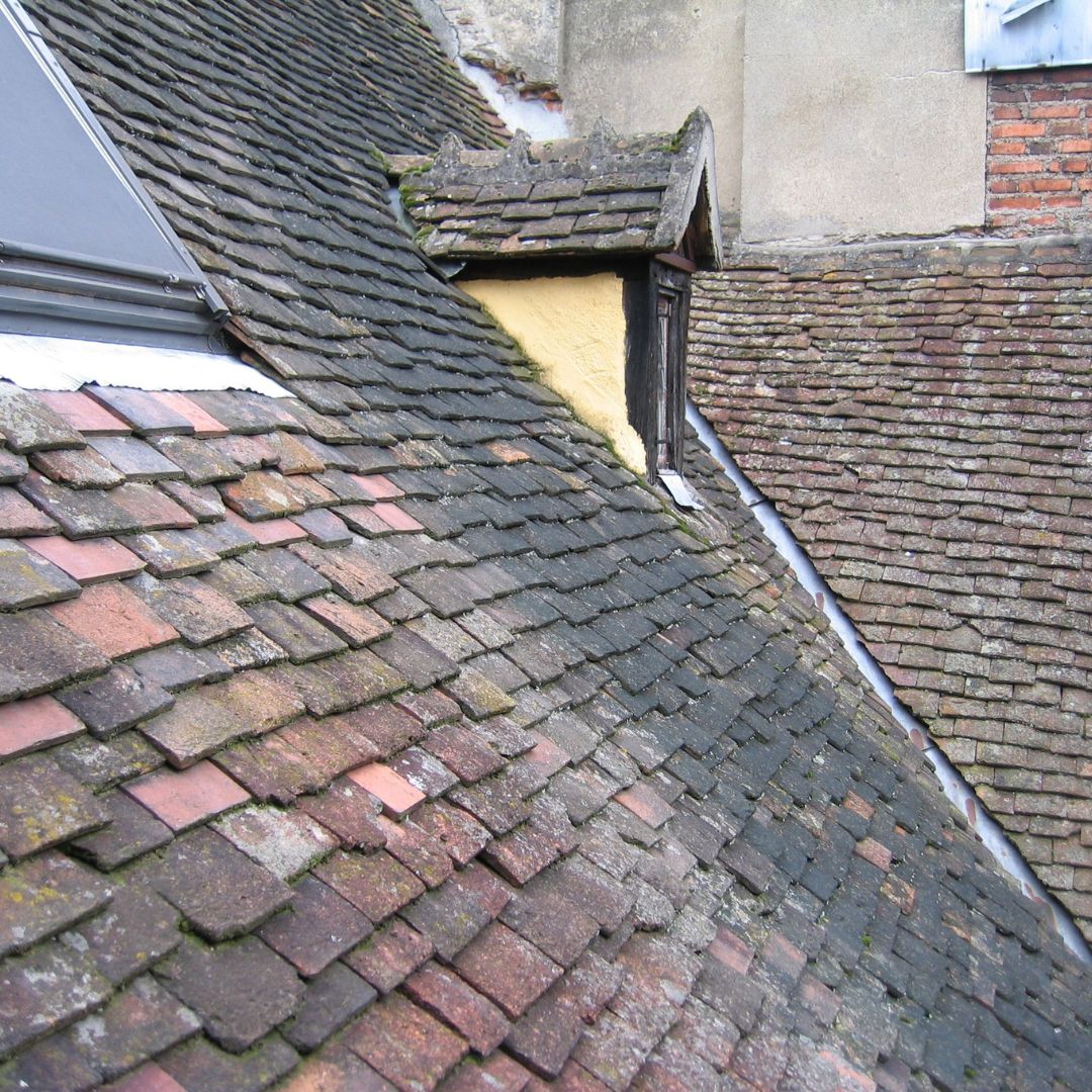 damaged shingles